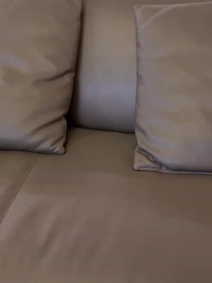 第15集 - 晚風知我意