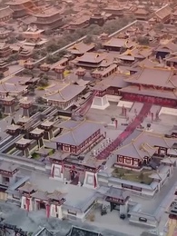 Tập 9 - Kim Long Chí Tôn