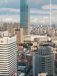 第35集 - 向陽花開