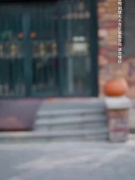 第40集 - 向陽花開