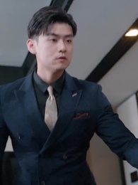 Episode 13 - The Fox's Scheme