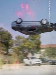 第9集 - 向陽花開