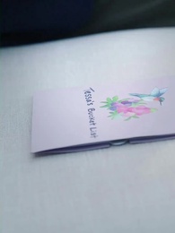 Der Milliardär Erfüllt Meine Bucket List - Episode 50