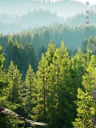 第1集 - 隱龍老爹撼乾坤