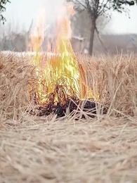 第26集 - 糧食安全大如天