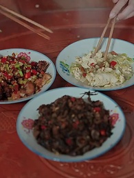 第54集 - 我們的村BA