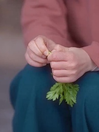 第51集 - 我的兒子是龍王