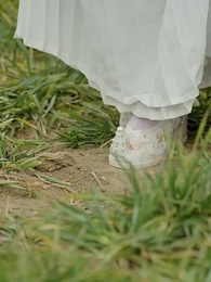 第35集 - 雙生劫，迎娶公主登上帝位