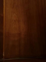 Episodio 24 - El millonario cumple mi lista de deseos