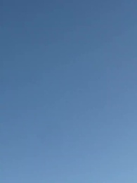 Episodio 27 - El millonario cumple mi lista de deseos