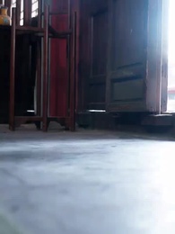 Episode 9 - Blossoms and Bloodshed