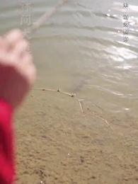 隱龍老爹撼乾坤 - Episode 2