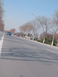 Trapped in a Novel: Oops, I Fell for an NPC - Episode 48