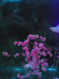 Episode 11 - Eternal Destiny: Love Beyond Realms