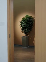 第30集 - 呼嘯村莊