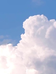 Épisode 72 - [Doublé] À la Poursuite de Ma Femme Rejetée