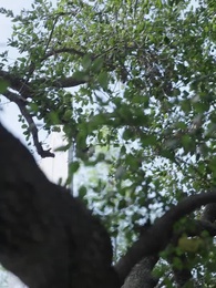 Mein Ex, der milliardenschwere Trauzeuge - Episode 11