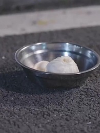 Tập 2 - Ông Xã Tỷ Phú Cưng Chiều