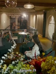 Épisode 29 - Vérité Dérobée