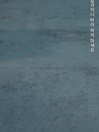 17화 - 시스템 각성: 난 이세계의 왕