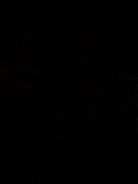 Legato alla Mafia Sbagliata - Episode 13