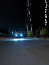 41화 - 시스템 각성: 난 이세계의 왕