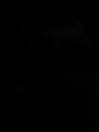 Legato alla Mafia Sbagliata - Episode 22