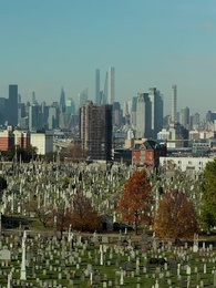 Episode 55 - uncle I love you