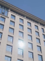 Episode 14 - Tangled in Lies