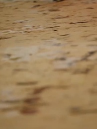 الحلقة 21 - عاصفة المشاعر