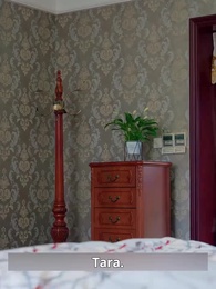 Episode 90 - Tangled in Lies