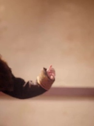 殿下、四つ子がまた都で大暴れ！ - Episode 50