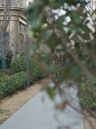 第22集 - 自以為是