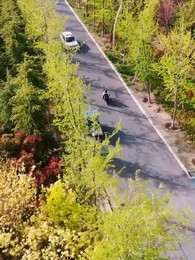 99 Ways to Break My Heart - Episode 49