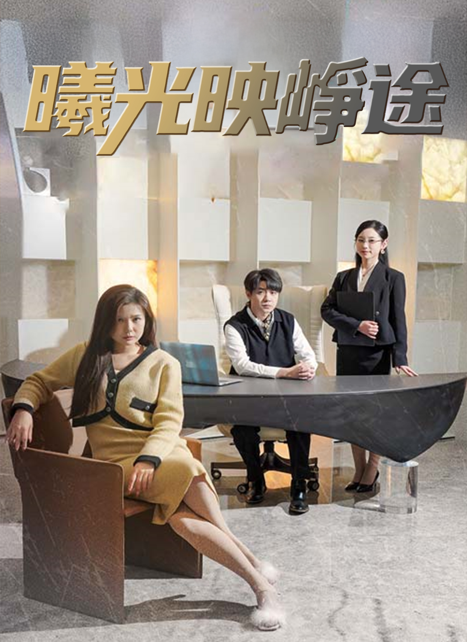 《曦光映崢途》封面