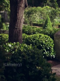 Episode 13 - uncle I love you