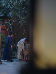 Episode 35 - Palace Survival 101