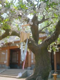 ข้ามเวลามาแอบอู้ในวัง - Episode 17