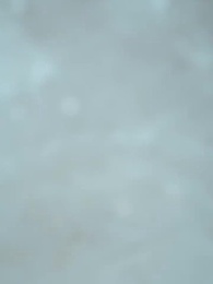 第13集 - 無人與你共白頭