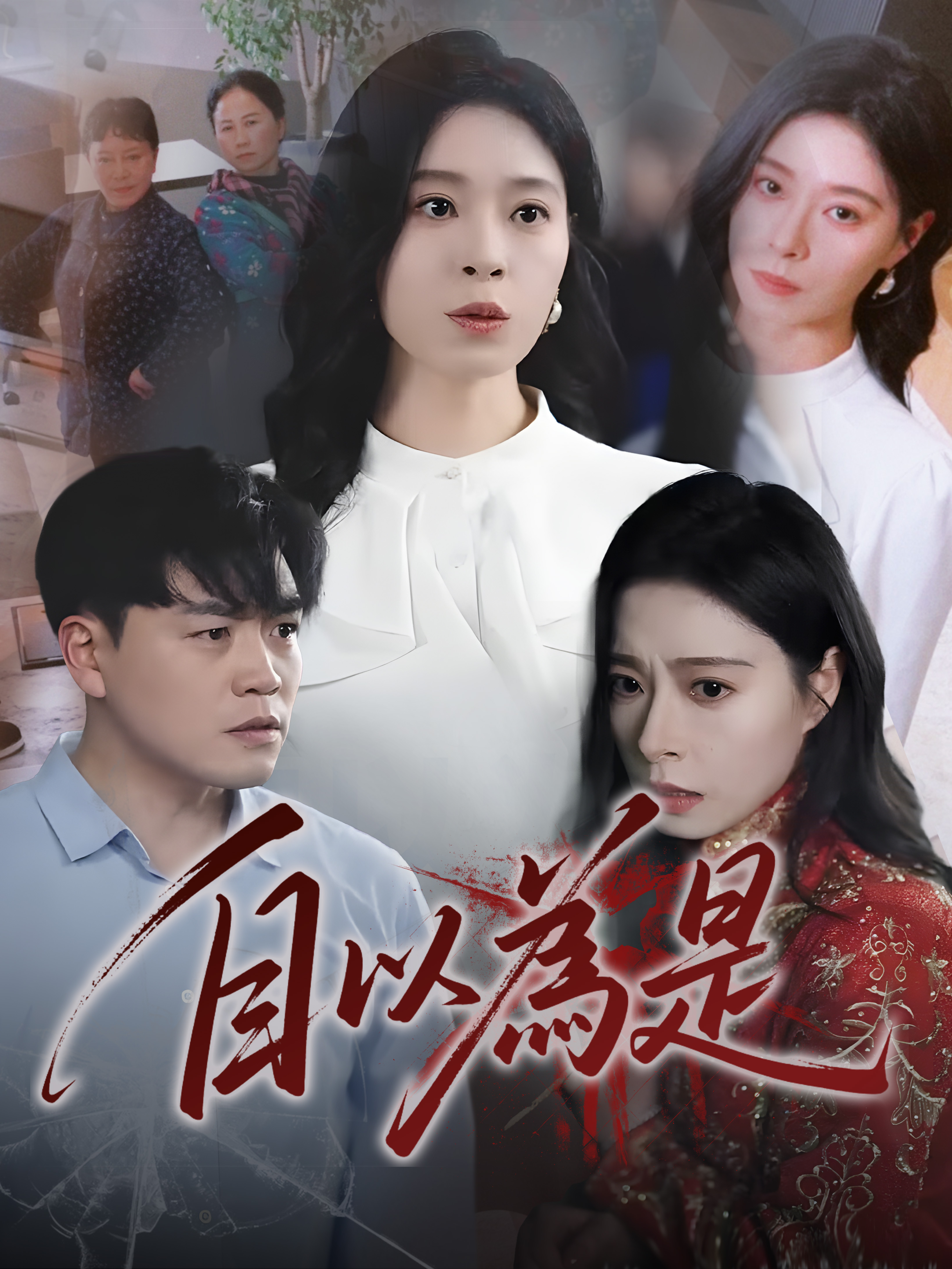 《自以為是》封面