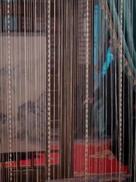 第49話 - 殿下、四つ子がまた都で大暴れ!