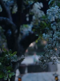 Episode 23 - Palace Survival 101