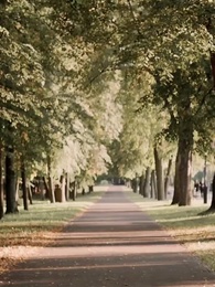 Loucuras do Tio do Meu Ex - Episode 36