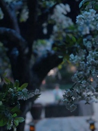 ข้ามเวลามาแอบอู้ในวัง - Episode 23