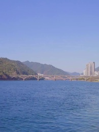 Episode 91 - Tangled in Lies