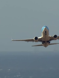 Episode 44 - uncle I love you