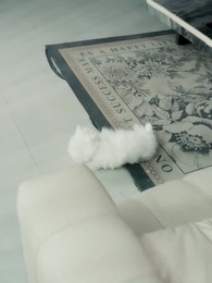 Episodio 19 - Cuando Me Desperté, Rogaron por Mí