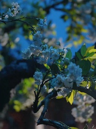 ข้ามเวลามาแอบอู้ในวัง - Episode 4