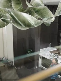 第17集 - 自以為是