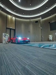 Episode 11 - Petals Upon the Throne